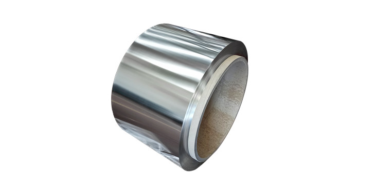 Soft magnetic Iron Cobalt alloy ASTM A801 R30005 Co49 V2 Fe49